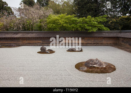 Une partie de la zen rock garden, mur en terre, et les arbres à Ryōan-ji à Kyoto Banque D'Images