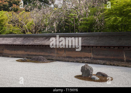 Une partie de la zen rock garden, mur en terre, et les arbres en fleurs à Ryōan-ji à Kyoto Banque D'Images