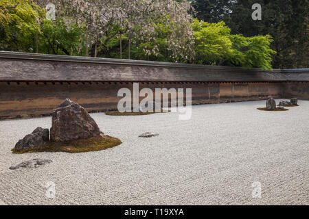 Une partie de la zen rock garden, mur en terre, et les arbres en fleurs à Ryōan-ji à Kyoto Banque D'Images