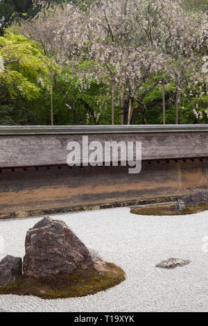 Une partie de la zen rock garden, mur en terre, et les arbres en fleurs à Ryōan-ji à Kyoto Banque D'Images