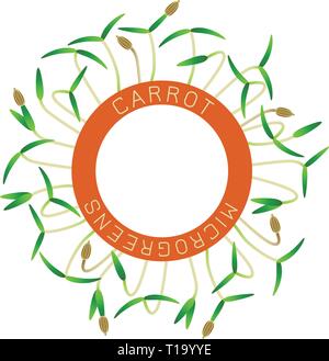 Microgreens carotte. La conception des emballages de semences, l'élément rond au centre. Autour de lui les germes. Supplément de vitamines, de nourriture vegan Illustration de Vecteur