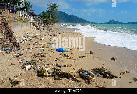 La pollution de la plage, rejetées après la tempête tropicale 'Babylon' Pabuk, Lamai Beach, Koh Samui, Golfe de Thailande, Thaïlande Banque D'Images