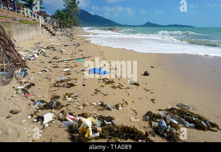La pollution de la plage, rejetées après la tempête tropicale 'Babylon' Pabuk, Lamai Beach, Koh Samui, Golfe de Thailande, Thaïlande Banque D'Images