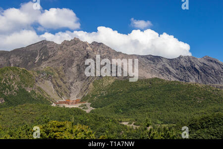 Vulcan actif Sakurajima couverts par un paysage verdoyant. Prises de vue le Yunohiro Place (Lookout). Situé à Kagoshima, Kyushu, au sud du Japon. Banque D'Images