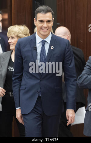 Le Premier ministre espagnol Pedro Sanchez assiste à la présentation de son livre 'Manuel de résistance (Manuel de la Résistance)' Featuring : Pedro Sanchez Où : Madrid, Espagne Quand : 21 Feb 2019 Crédit : Oscar Gonzalez/WENN.com Banque D'Images