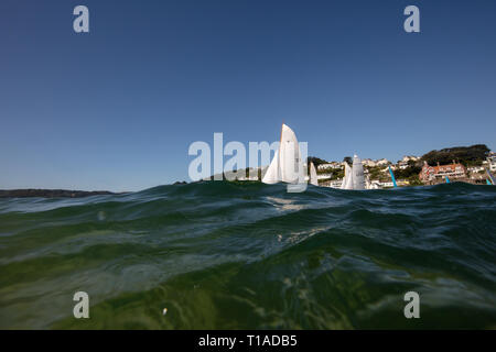 Une location de bateau à passé au cours de la Régate Ville Salcombe sous un beau ciel bleu. Banque D'Images