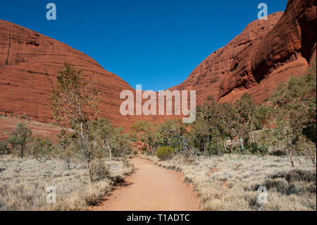 Kata Tjuta Banque D'Images