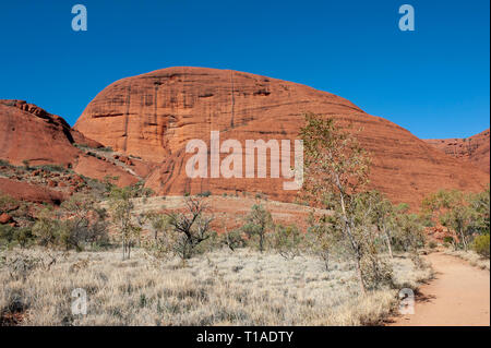 Kata Tjuta Banque D'Images