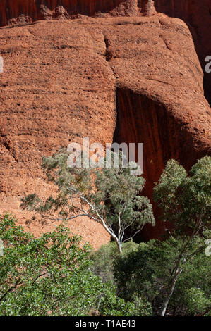 Kata Tjuta Banque D'Images