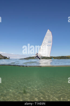 Une location de bateau à passé au cours de la Régate Ville Salcombe sous un beau ciel bleu. Banque D'Images