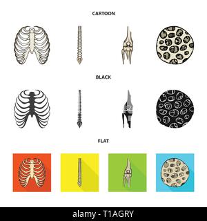 Nervure, colonne vertébrale,fémur,,fibre,cage,chiropratique,osseuses,sain,rx,base,jambe,scientifique,le corps,la colonne vertébrale,Genou,musculaires ostéoporose,tibia,,épithélium sternum,posture,péroné,épiderme,sternum,joints,tendon,mouvement,calcium cellule,chirurgie,dommage,la médecine,clinique,biologie,médical,os,,squelette anatomie,des,organes,,set,icône,,illustration,collection,isolé,design,graphisme,élément vecteur vecteurs,signer , Illustration de Vecteur