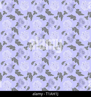 Vintage floral pattern transparente. Fleurs de chrysanthème. Belle texture seamless floral avec des chrysanthèmes blancs et feuilles vertes sur lil Banque D'Images