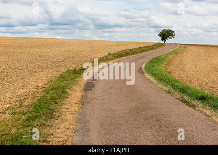Route dans la campagne avec arbre et champs agricultrural, France. Banque D'Images