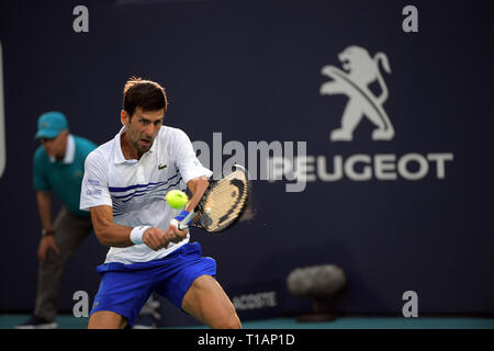 Miami Gardens, en Floride. 24 mars, 2019. Novak Djokovic la Serbie de Federico Delbonis défaites de l'Argentine au jour 7 de l'Open de Miami présenté par Itau au Hard Rock Stadium le 24 mars 2019 à Miami Gardens, Florida People : Novak Djokovic Banque D'Images