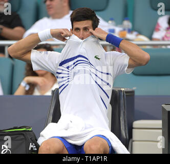 Miami Gardens, en Floride. 24 mars, 2019. Novak Djokovic la Serbie de Federico Delbonis défaites de l'Argentine au jour 7 de l'Open de Miami présenté par Itau au Hard Rock Stadium le 24 mars 2019 à Miami Gardens, Florida People : Novak Djokovic Banque D'Images