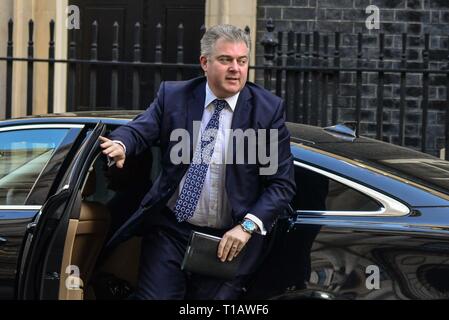 25 mars 2019 London rd : Brandon Lewis MP, Président du Parti conservateur arrive pour une réunion du Cabinet. Credit : Claire Doherty/Alamy Live News Banque D'Images