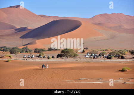 Sesriem, Namibie. 06Th Mar, 2019. Vue d'une partie de la dune entourant le Dead Vlei, prise le 01.03.2019. Le Dead Vlei est un endroit sec, entouré de grands argile dune casserole avec de nombreux morts dans les arbres d'acacia Parc National Namib Naukluft près du Sossusvlei. Ces arbres morts sont jusqu'à 500 ans et créer une impression globale de la surréaliste décor en face de l'internaute. Credit : Matthias Toedt/dpa-Zentralbild/ZB/Photo Alliance | utilisée dans le monde entier/dpa/Alamy Live News Banque D'Images