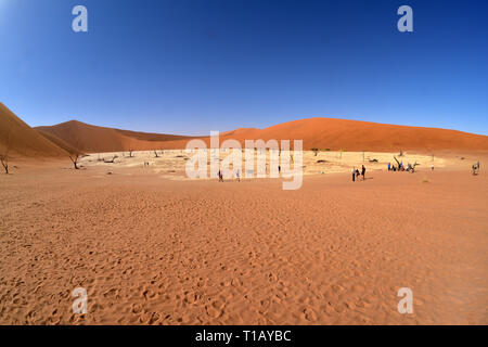 Sesriem, Namibie. 06Th Mar, 2019. Vue depuis l'accès duene au Dead Vlei avec la dune, prise le 01.03.2019. Le Dead Vlei est un endroit sec, entouré de grands argile dune casserole avec de nombreux morts dans les arbres d'acacia Parc National Namib Naukluft près du Sossusvlei. Ces arbres morts sont jusqu'à 500 ans et créer une impression globale de la surréaliste décor en face de l'internaute. Credit : Matthias Toedt/dpa-Zentralbild/ZB/Photo Alliance | utilisée dans le monde entier/dpa/Alamy Live News Banque D'Images