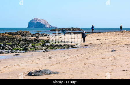 Firth of Forth, East Lothian, Ecosse, Royaume-Uni, le 25 mars 2-19. UK Météo : soleil du printemps sur la côte, qui fait partie de la façon dont John Muir, avec les gens profiter du plein air. Les gens qui marchent sur la plage à marée basse avec Bass Rock sur l'horizon, où la colonie de fou de bassan revient tout juste pour cette année, la saison de reproduction Banque D'Images