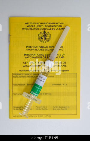 Hanovre, Allemagne. 28 Février, 2019. Une carte de vaccination et d'une seringue avec le vaccin Rabipur pour protéger contre la rage peut être trouvé dans le cabinet du médecin. Credit : Ole Spata/dpa/Alamy Live News Banque D'Images