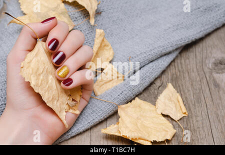 La main féminine avec dark red nail design holding feuilles jaunes. Banque D'Images