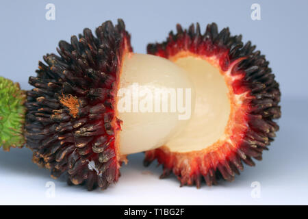 Doux De Fruits sauvages Pulasan Banque D'Images