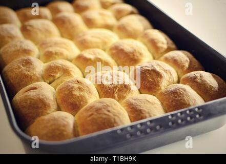 Une casserole d'Tchèque les gâteaux traditionnels faits maison remplie de fromage blanc. Banque D'Images