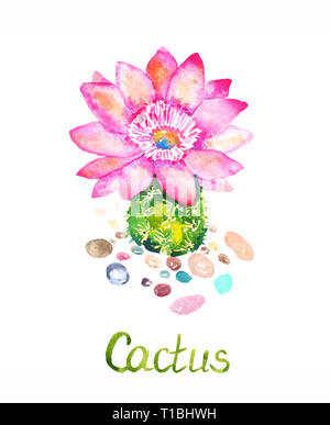 Cactus avec des fleurs roses et pierres colorées, peintes à la main autour de l'illustration à l'aquarelle avec l'inscription isolé sur fond blanc Banque D'Images