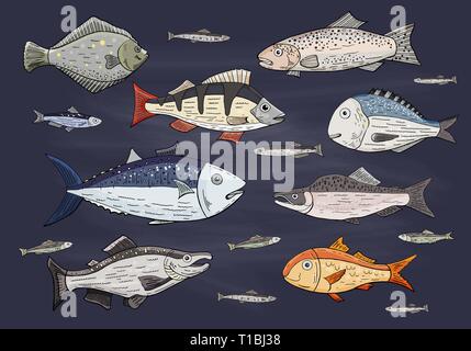 Ensemble de différentes couleurs de poissons marins, de la faune Illustration de Vecteur