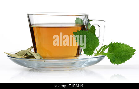 Melissa dans un verre de thé tasse avec feuilles de mélisse isolé sur fond blanc Banque D'Images