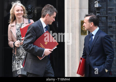 (De gauche à droite) Secrétaire en chef au Trésor Liz Truss, Secrétaire de la Défense, Gavin Williamson et gallois Alun Secrétaire congé Cairns 10 Downing Street, Londres après une réunion du cabinet. Banque D'Images