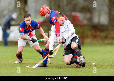 Droit d'action de Lovat v Kingussie dans la Premiership MOWI, joué à Balgate, Kiltarlity. Banque D'Images