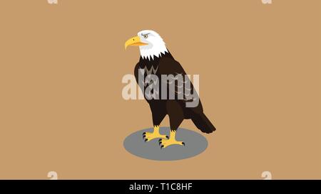 Aigle en colère à poser en regardant sa proie à la lumière fond brun Illustration de Vecteur