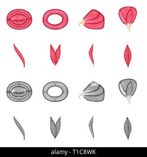 La conception de la fibre et vecteur icône musculaire. Ensemble de fibres et de corps icône vecteur pour stock. Illustration de Vecteur