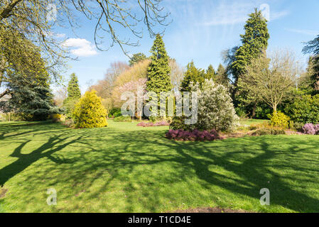 Soleil du printemps dans la région de Cannon Hill Park à Edgbaston, Birmingham Banque D'Images