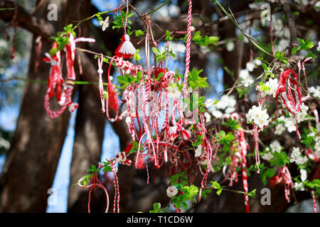 Martenitsa attaché à un arbre en fleurs Banque D'Images