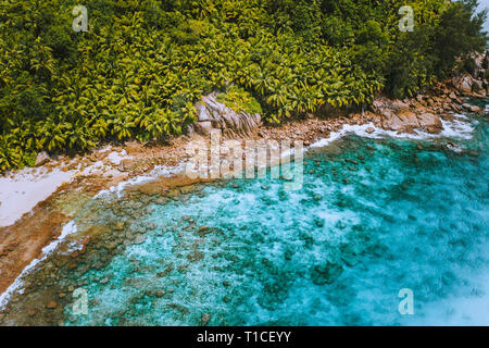 Drone aérien tourné de palmeraie et de l'eau d'un bleu transparent sur la plage tropicale des Seychelles, l'île de La Digue Banque D'Images