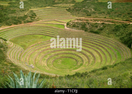 Terrasses de Moray agricole historique dans la Vallée Sacrée des Incas, Cuzco, Pérou Région Banque D'Images