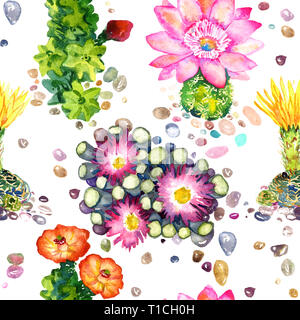 Cactus avec des fleurs roses et jaunes, des pierres colorées, pattern design transparente, peinte à l'aquarelle illustration, fond blanc Banque D'Images