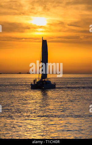 Bateau à voile au coucher du soleil sur le fleuve Tage, Lisbonne, Portugal Banque D'Images