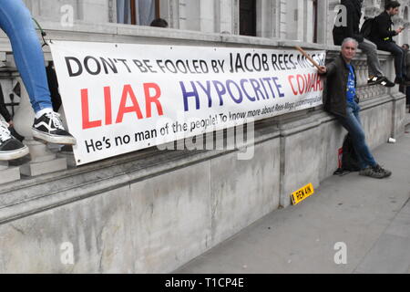 Londres/UK. Le 23 mars 2019. Des milliers de manifestants à la place du Parlement à exiger un vote du peuple. Credit : Katherine Da Silva/ Alamy news Banque D'Images