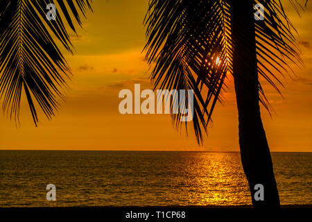 Coucher de soleil coloré de couleur orange sky à la noix de coco palmier sur l'arrière-plan. Des faisceaux de lumière briller à travers les feuilles. Banque D'Images