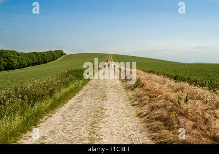 South Downs Way Banque D'Images