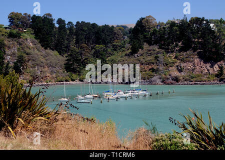 Yachts amarrés au port Diamomd, un petit village à proximité de Christchurch en Nouvelle-Zélande et en face de la baie de l'Lyttleton. Banque D'Images