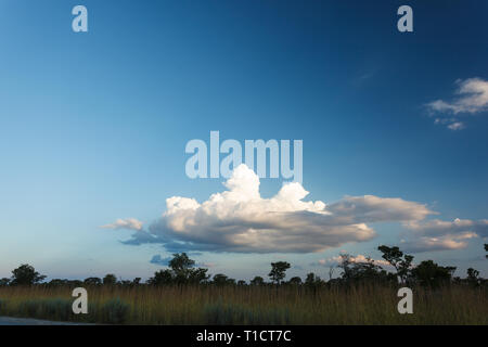 Vue paisible des plaines et de bas puffy clouds over head Banque D'Images