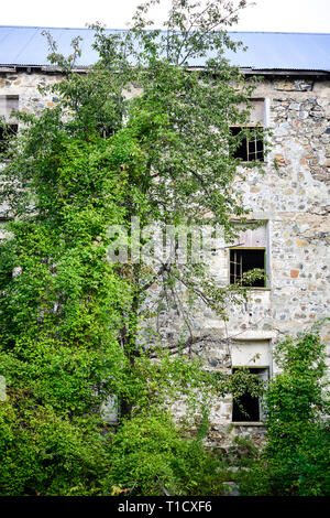 Bérengère Hôtel et la forêt de montagne - bâtiment abandonné dans Prodromos, Chypre Banque D'Images