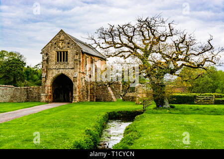 Washford, Somerset, Angleterre : ruines de l'abbaye de Cleeve fondée en fin du 12ème siècle comme une maison pour les moines de l'austère Ordre Cistercien, l'un des meilleurs Banque D'Images