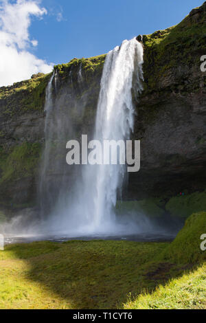 Magnifique paysage de cascade de Seljalandsfoss en Islande Banque D'Images