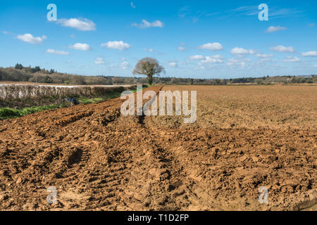 Champ labouré récemment préparé pour semer des graines, de l'agriculture, de l'agriculture, UK Banque D'Images