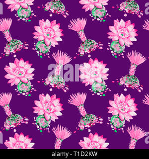 Cactus avec des fleurs roses, des pierres autour, direct pattern design, illustration aquarelle peinte à la main, fond violet foncé Banque D'Images